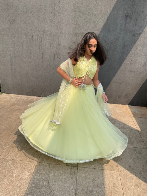 Butterfly | Ghaghra Choli