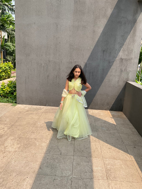 Butterfly | Ghaghra Choli